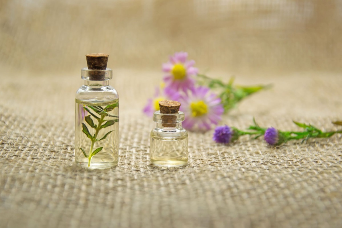 用於調香的檀香、玫瑰與茉莉花原料