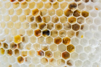 科学的根拠に基づく肌ケア、ステップ別実践ガイド完全ガイド
