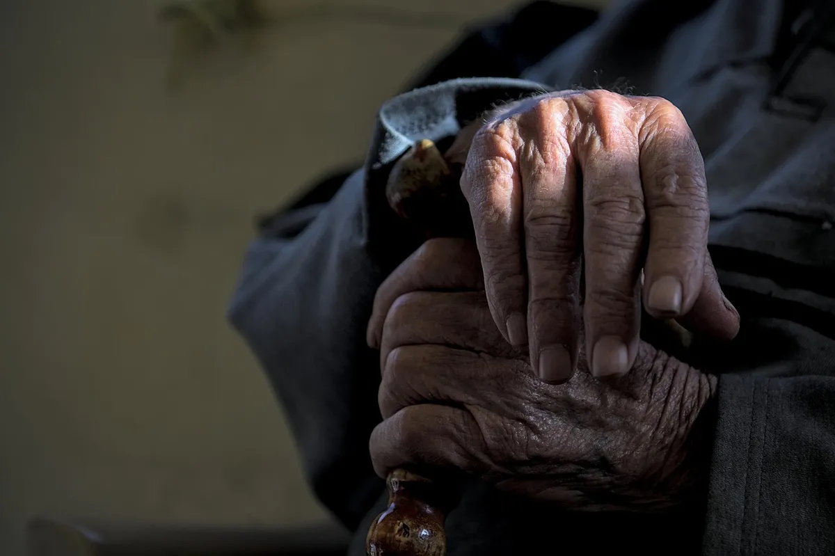 man, hands, wrinkled, old, skin, aging, folds, aging process, life, work life, lifestyle, old man, bone, sunshine, warmth, age, drawing, grandfather, grandpa, g