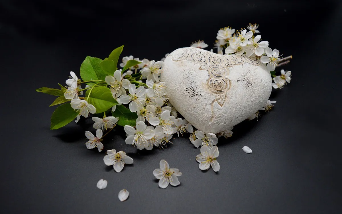 heart, flower background, blossoms, white flowers, affection, love, flower wallpaper, beautiful flowers, connectedness, nature, black background, miss, decorati