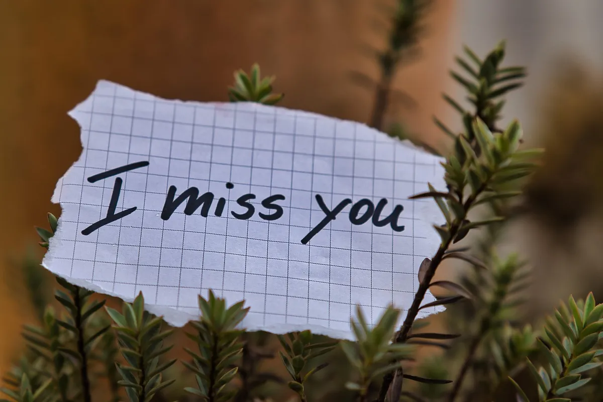 miss, nostalgia, note, nature, message, love, romantic, separation, plant, grief