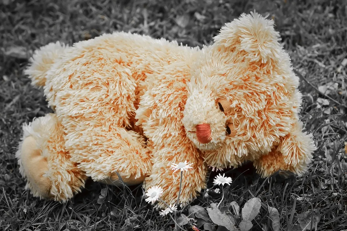 teddy, lonely, teddy bear, nostalgia, miss, cuddly toy, lonliness, stuffed animal, alone, mood, toy, children's toys, teddy, lonely, teddy bear, teddy bear, ted