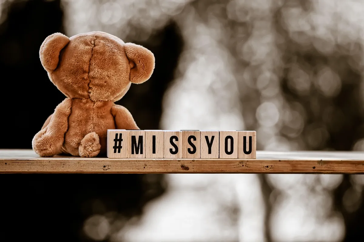 bear, teddy, lonely, love, nostalgia, miss, stuffed animal, cuddly toy, brown bear, children, animal, nature, teddy bear, plush bear, children's toys, cute, plu