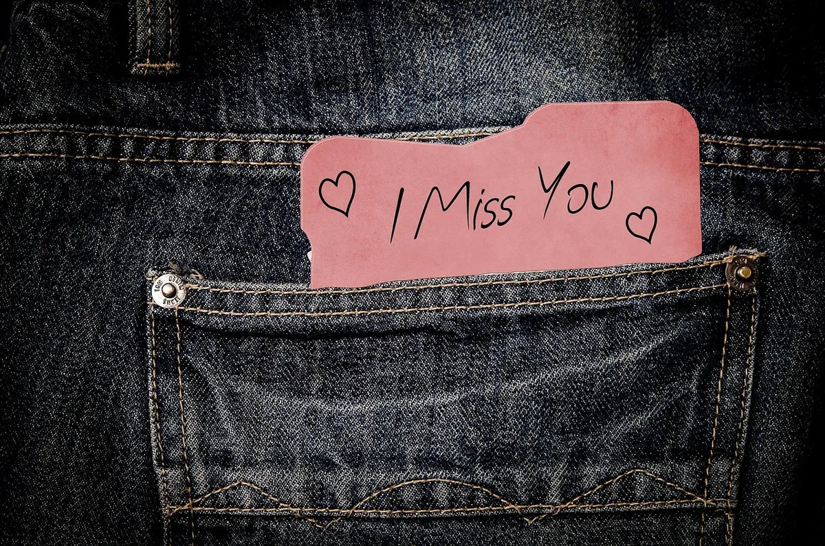 trousers, pocket, note, jeans, clothing, miss, affection, miss, miss, miss, miss, miss